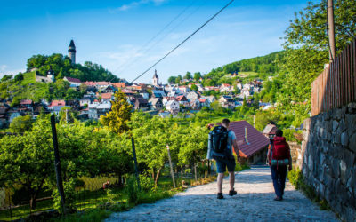 TIP KAM VYRAZIT: OKOLO TRÚBY CESTIČKA